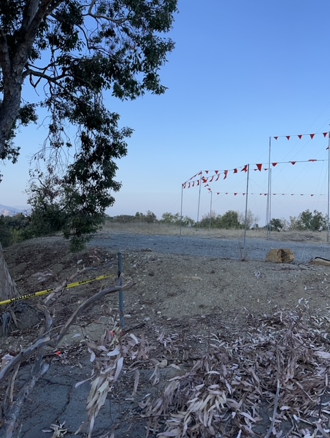 Inland hillside story pole project with eucalyptus tree proximity and complex pennant flagging